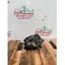 Bomba Inyectora Volkswagen 2.0TDI
