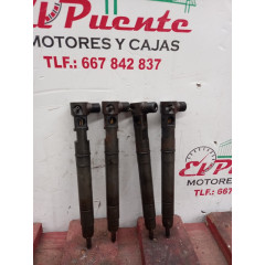 Inyectores EMBR00301D