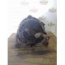 Alternador Chevrolet Aveo