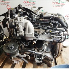 Motor completo F1CFA401A